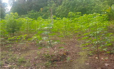 Venta de finca en Dolega Chiriqui