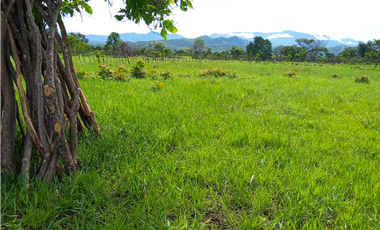 Venta de finca en Dolega Chiriqui
