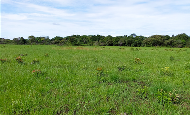 Venta de finca en Dolega Chiriqui