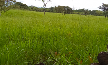 Venta de finca en Dolega Chiriqui