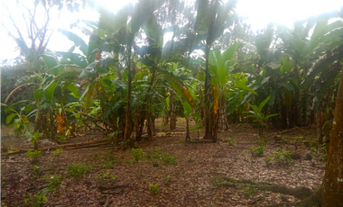 Venta de finca en Dolega Chiriqui