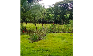 Venta de finca en Dolega Chiriqui