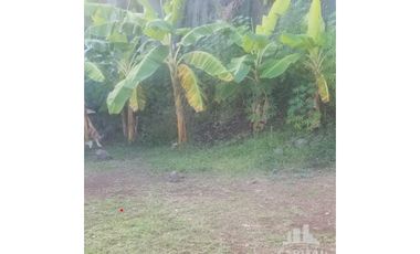 TERRENO EN RIO HATO - LOS POLLOS