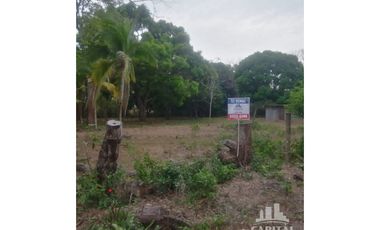 TERRENO EN RIO HATO - LOS POLLOS