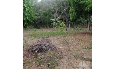 TERRENO EN RIO HATO - LOS POLLOS