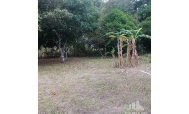 TERRENO EN RIO HATO - LOS POLLOS