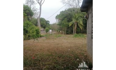 TERRENO EN RIO HATO - LOS POLLOS