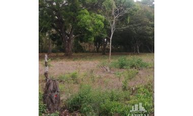 TERRENO EN RIO HATO - LOS POLLOS
