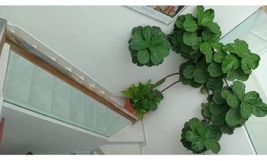 BETANIA / EL AVANCE / 808.25M / 4 HABITACION / PISCINA / 2 NIVELES JC