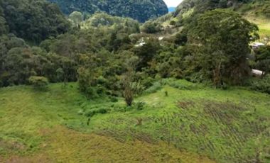 VENDO.LOTES DE 600MTS Bajo.Mono BQT