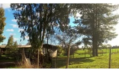 Arayabroker Vende Preciosa Parcela Con Casa En Parral