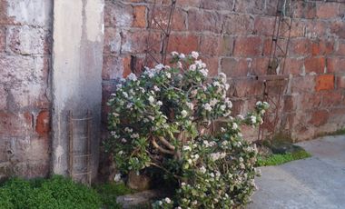 Arayabroker Vende Casa Muy Bien Ubicada En La Granja