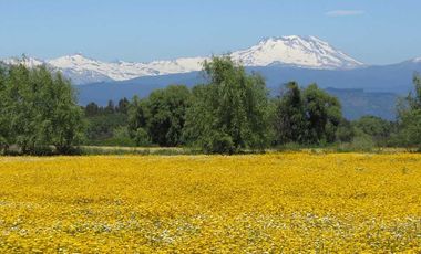 Parcela en venta en SAN RAFAEL