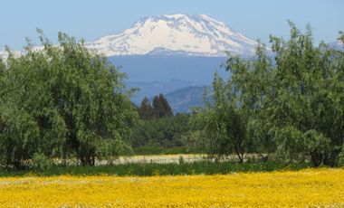 Parcela en venta en SAN RAFAEL