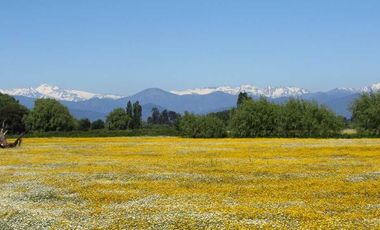 Parcela en venta en SAN RAFAEL