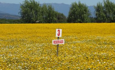 Parcela en venta en SAN RAFAEL