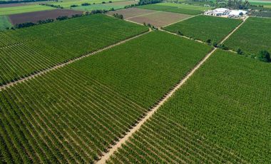 Parcela en venta en SAN RAFAEL