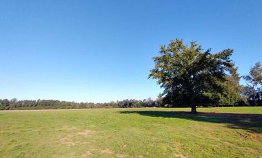Parcela en venta en MARIQUINA