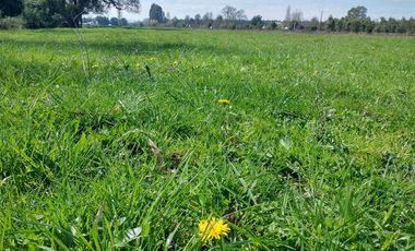 Parcela en venta en MARIQUINA