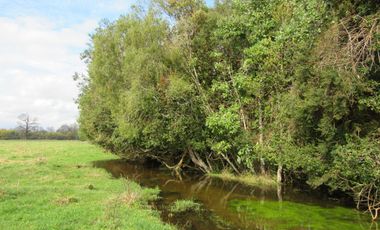 Parcela en venta en MARIQUINA