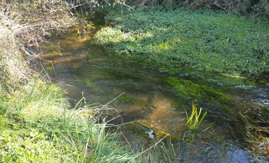 Parcela en venta en MARIQUINA