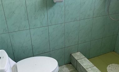 Casa en Venta en Walker Martinez y Palena