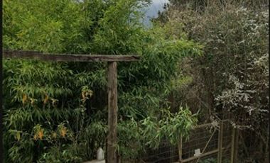 Sitio en Venta en Yerbas buenas