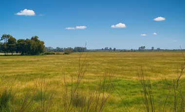 Terreno en Venta en Polotitlán, con salida a la Carretera 57 México–Querétaro