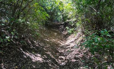 PARCELAS DE 5000MTS2 SECTOR ROBLERIA