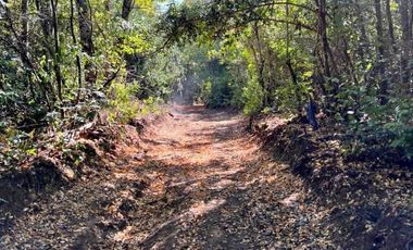 PARCELAS DE 5000MTS2 SECTOR ROBLERIA