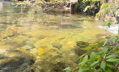 PARCELAS DE 5000MTS2 SECTOR ROBLERIA