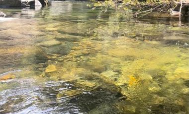 PARCELAS DE 5000MTS2 SECTOR ROBLERIA