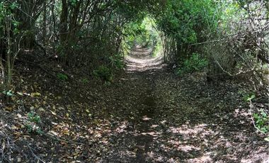 PARCELAS DE 5000MTS2 SECTOR ROBLERIA