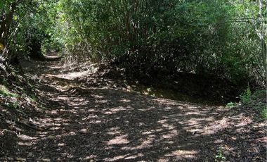 PARCELAS DE 5000MTS2 SECTOR ROBLERIA