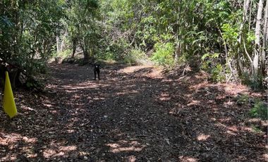 PARCELAS DE 5000MTS2 SECTOR ROBLERIA