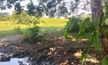 Rancho con vocacion ganadera, agricola  y forestal en venta en Poblacion de Huimanguillo Tabasco