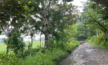 Rancho con vocacion ganadera, agricola  y forestal en venta en Poblacion de Huimanguillo Tabasco