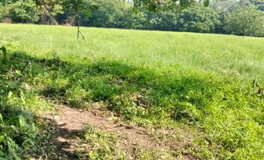 Rancho con vocacion ganadera, agricola  y forestal en venta en Poblacion de Huimanguillo Tabasco