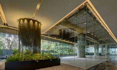 En Renta Oficina | Polanco, CDMX | 625m2