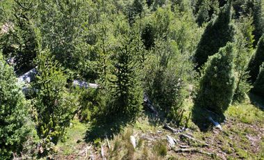 Parcela en venta en CUNCO