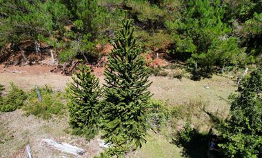 Parcela en venta en CUNCO