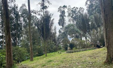 ARRIENDO de CASAS en MUNICIPIO COGUA