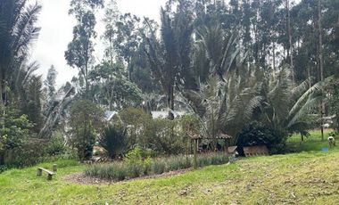 ARRIENDO de CASAS en MUNICIPIO COGUA