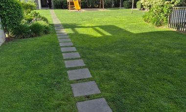 RIVAS / GRAN AVENIDA