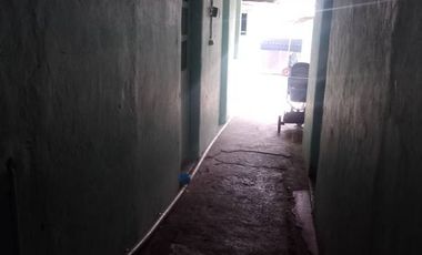 ARAUCO / SANTIAGO CONCHA