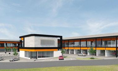 LOCALES COMERCIALES EN RENTA