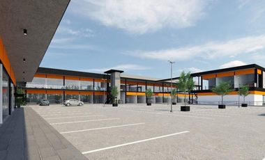 LOCALES COMERCIALES EN RENTA