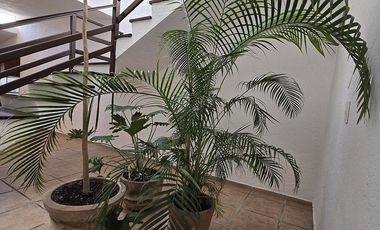 Casa en Renta en VILLA CHARRA DEL PEDREGAL