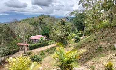 Casa - Lote - Vereda Payacal - La Mesa Cundinamarca