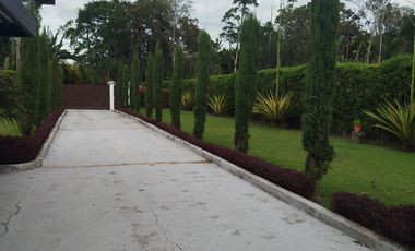 ESPECTACULAR LOTE TOTALMENTE PLANO CON CASA PREFABRICADA EN VENTA EN LA CEJA. (PARCELACION EL TAMBO).